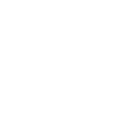 Mini logo