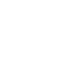Seat logo