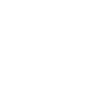 Fiat logo