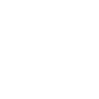 Lamborghini logo